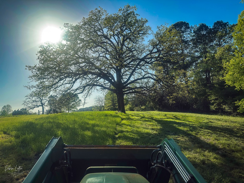Waking Up with Jesus and the Rattlings of my Tractor